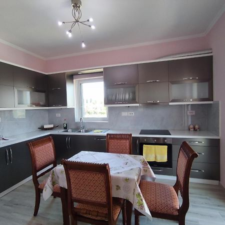 Cheerful 2 Bedroom Villa With Free Parking. Gjirokastër 外观 照片